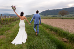 Pronovias strapless mermaid wedding dress