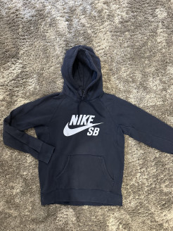 Sweat à capuche Nike SB