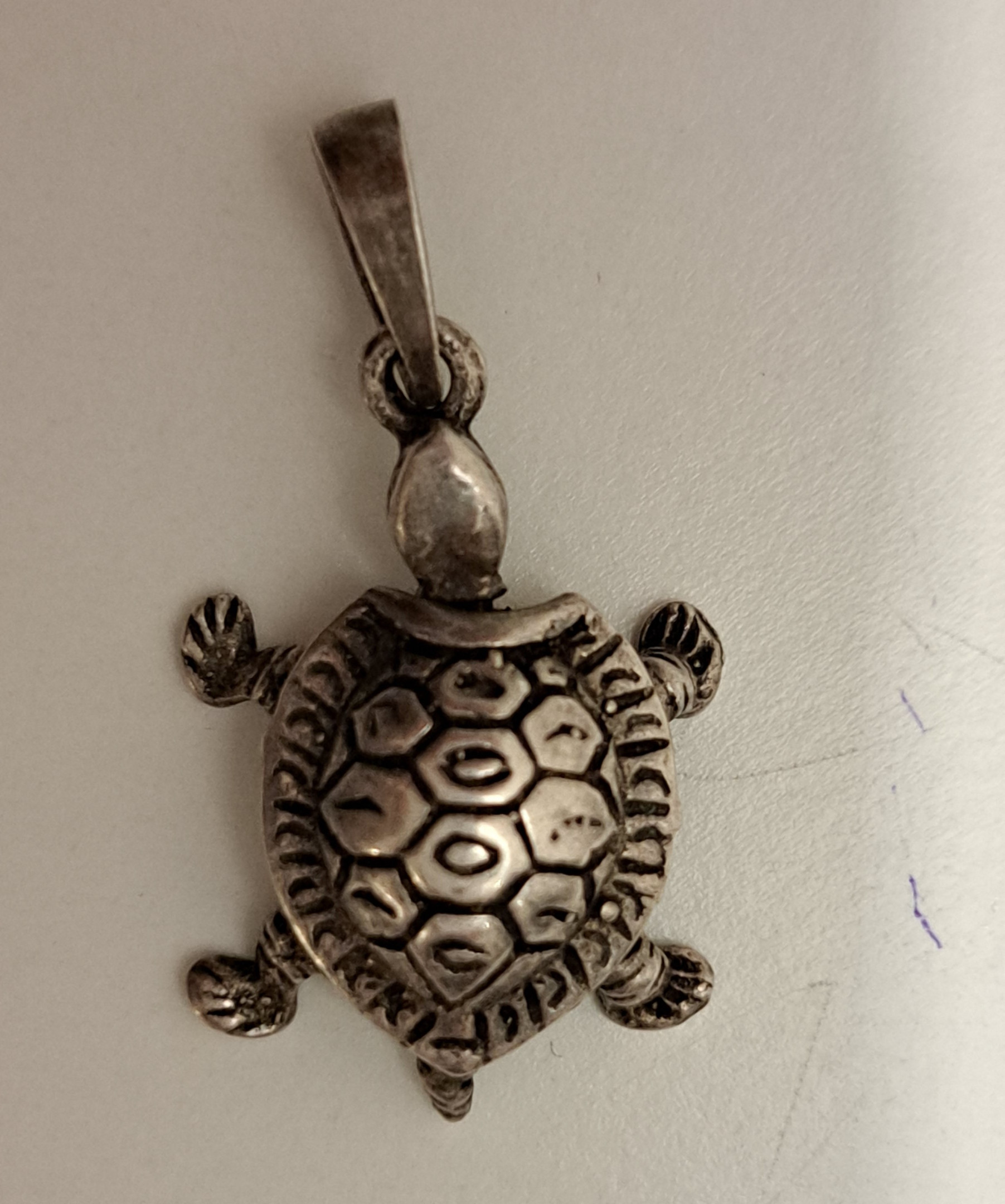 Turtle pendant in silver (2)