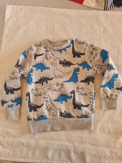 Sweatshirt Dinosaurier