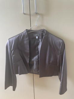 Short shiny brown blazer