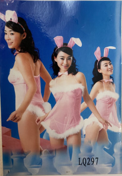 Sexy Playboy bunny costume