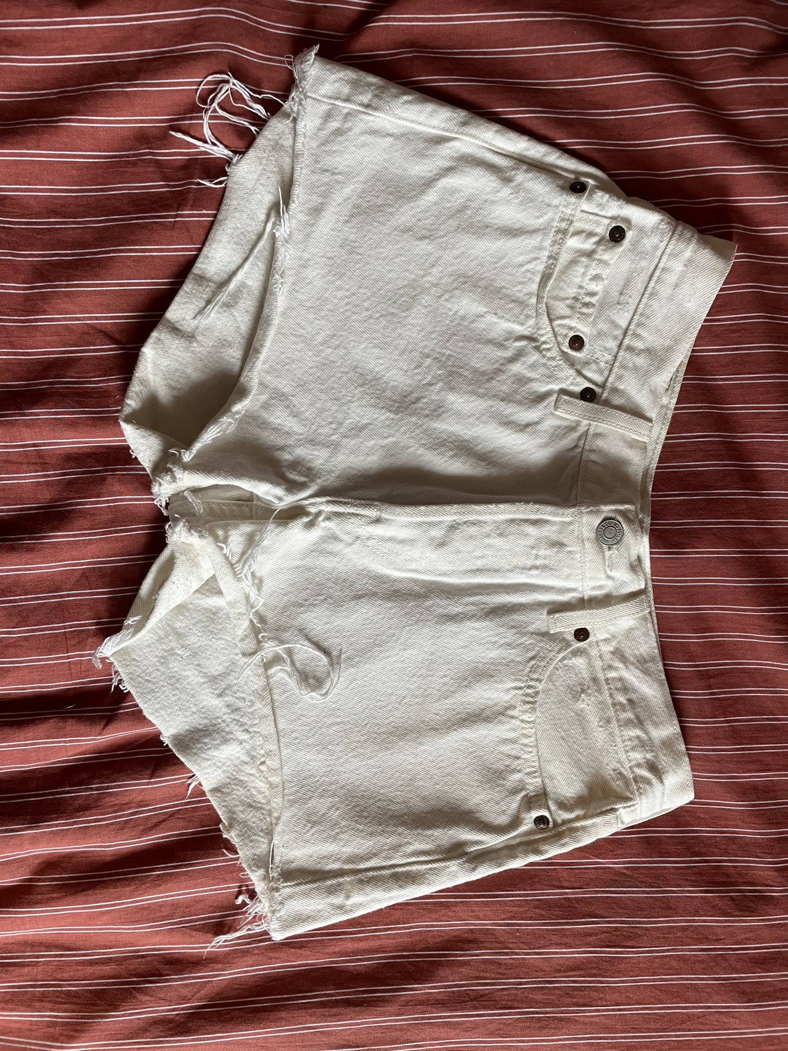 Lévis 501 shorts white