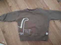 Long-sleeved jumper - dinosaur theme