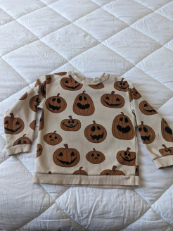 Halloween-Sweatshirt
