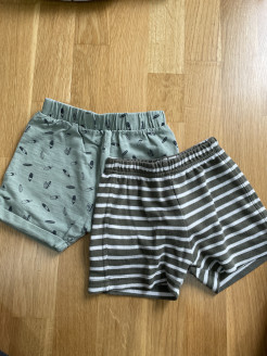 Lot 2 Shorts