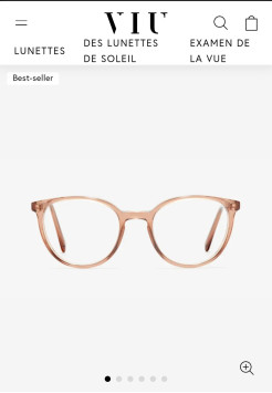 Sunglasses or vision frames