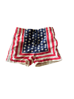 USA Flag Swim Shorts