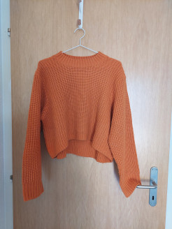Orange jumper