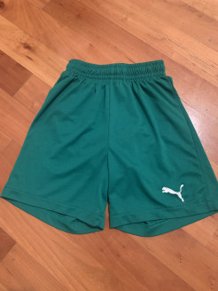Puma sports shorts