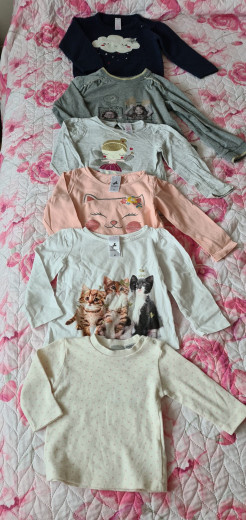 Girl's clothing set