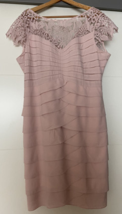 Faith Layered Dress Petal Pink by PHASE Eight
