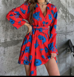 Mid Length Blue and Red Dress
