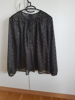 Transparent black and gold blouse