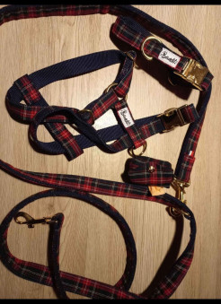 Lead, harness, collar, bag - Bandit Paris pour chien