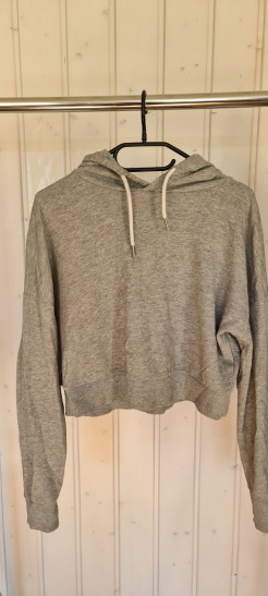 Sweat court gris