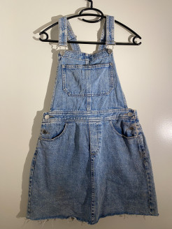 Skirt overalls