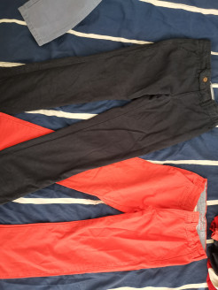 Chinos cyrillus bleu et corail