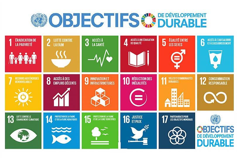 Objectifs de développement durables de l'ONU