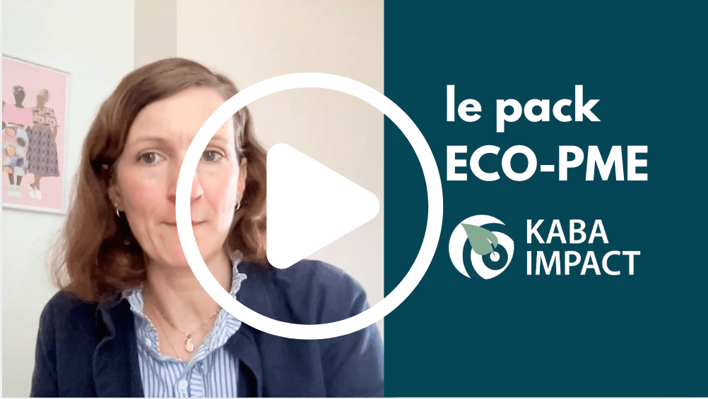 Vignette vidéo pack eco-pme