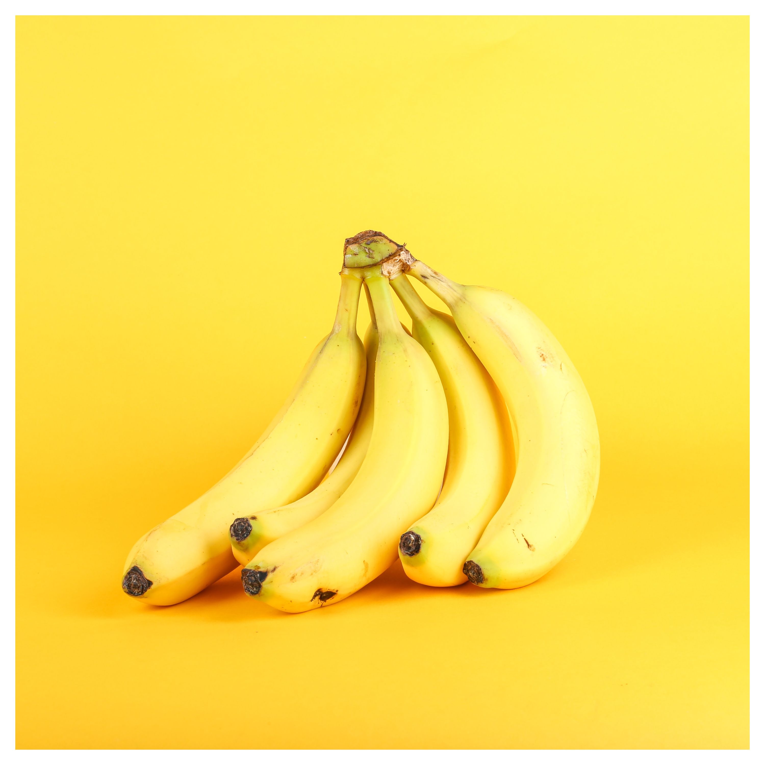 Régime de bananes sur fond jaune