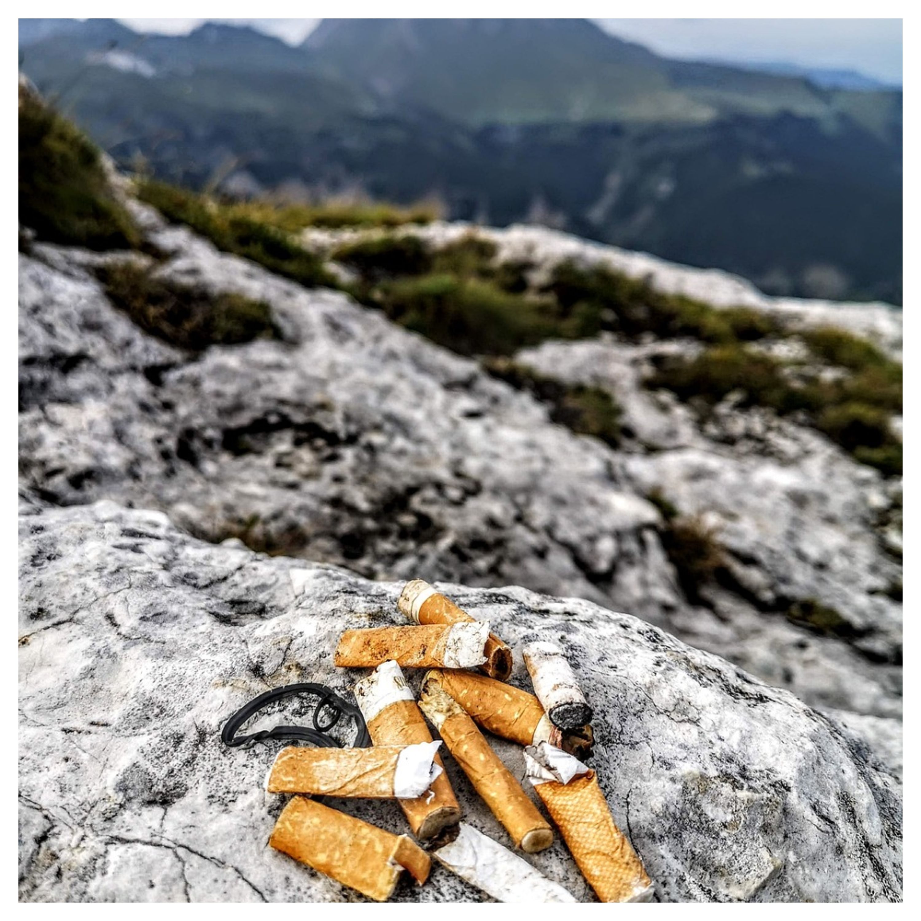 Mégots de cigarette en pleine nature, avec des montagnes en fond
