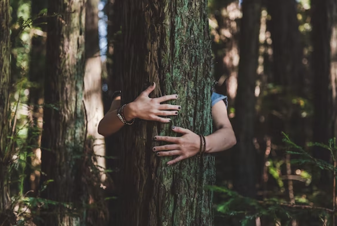 Une personne enlace un arbre