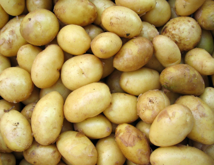 Image représentant des pommes de terre