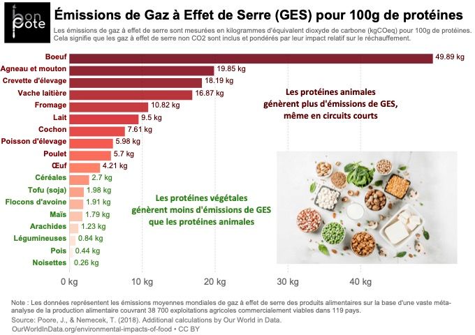 GES_proteines_bonpote.jpg