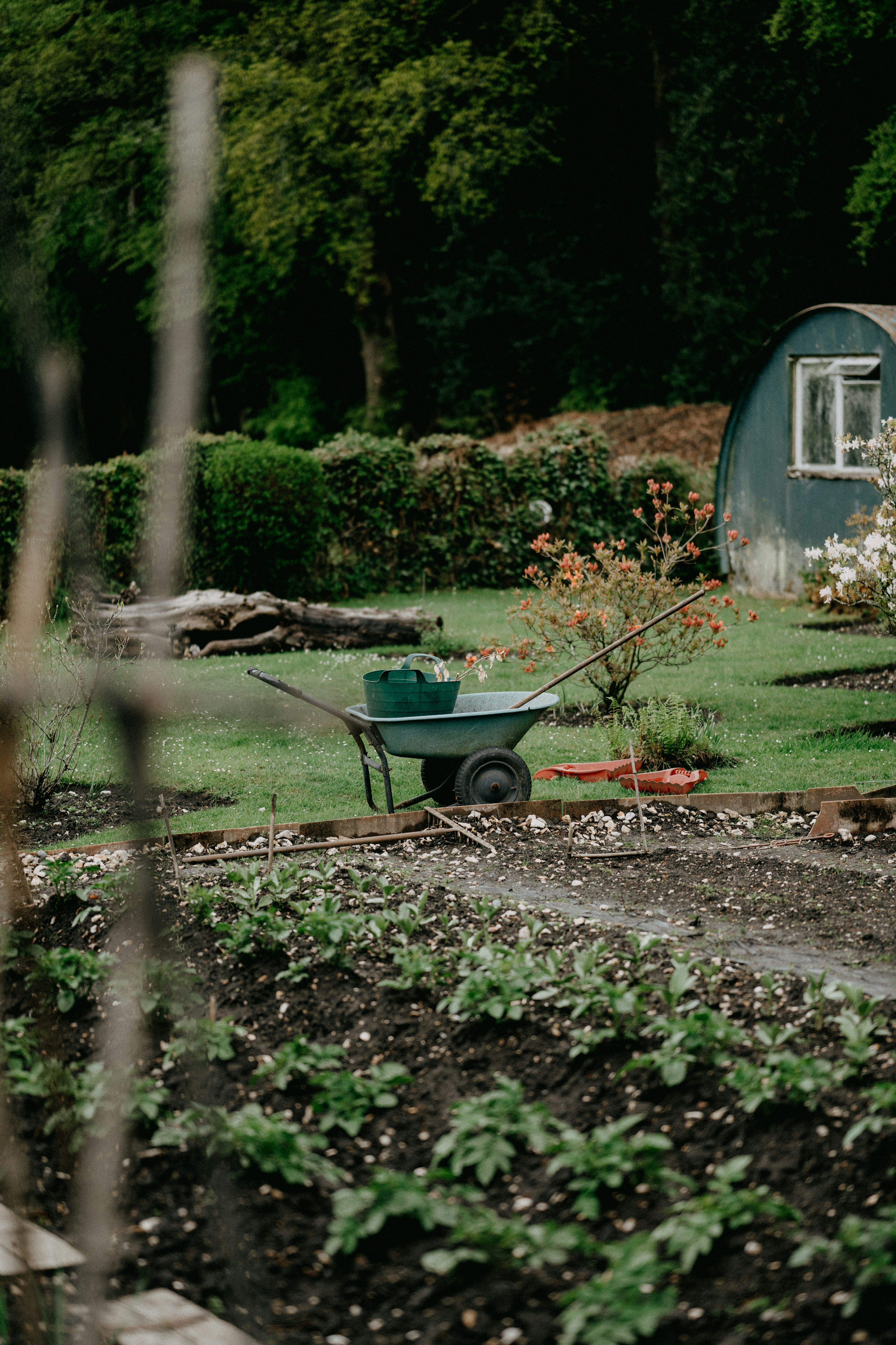 potager automne