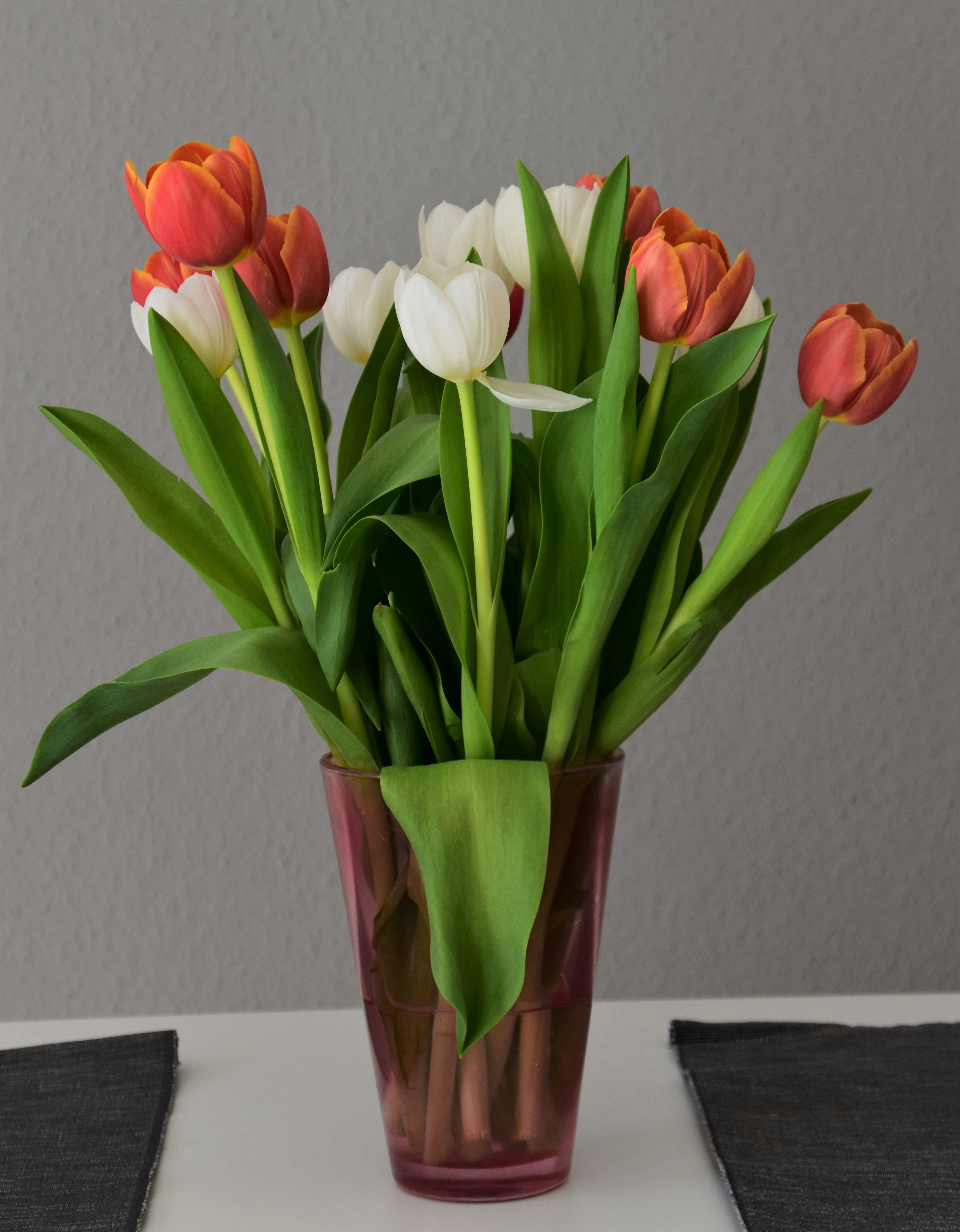 bouquet-tulipes-waldemar-unsplash.jpg