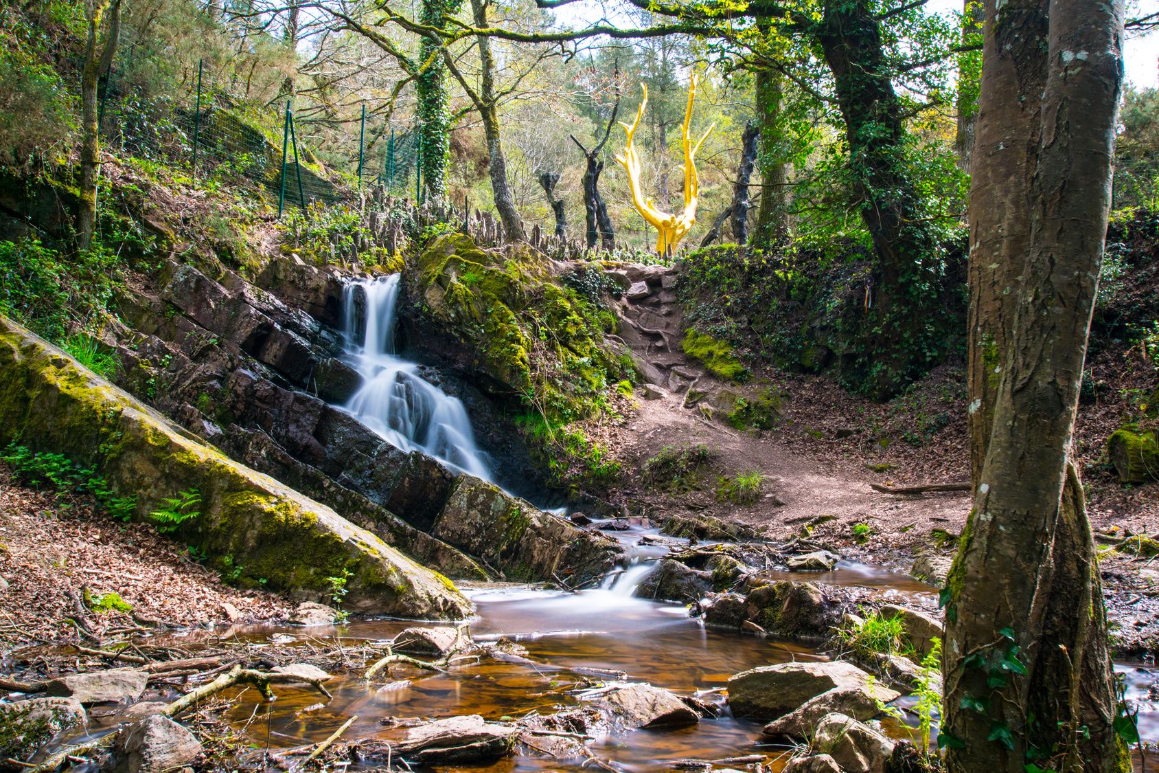 Forêt de brocéliande