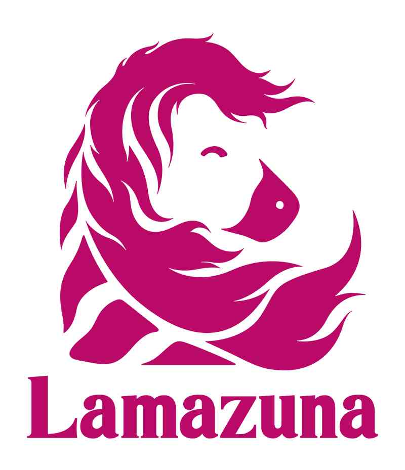 Kit rasoir de sûreté lame plate rechargeable | Lamazuna