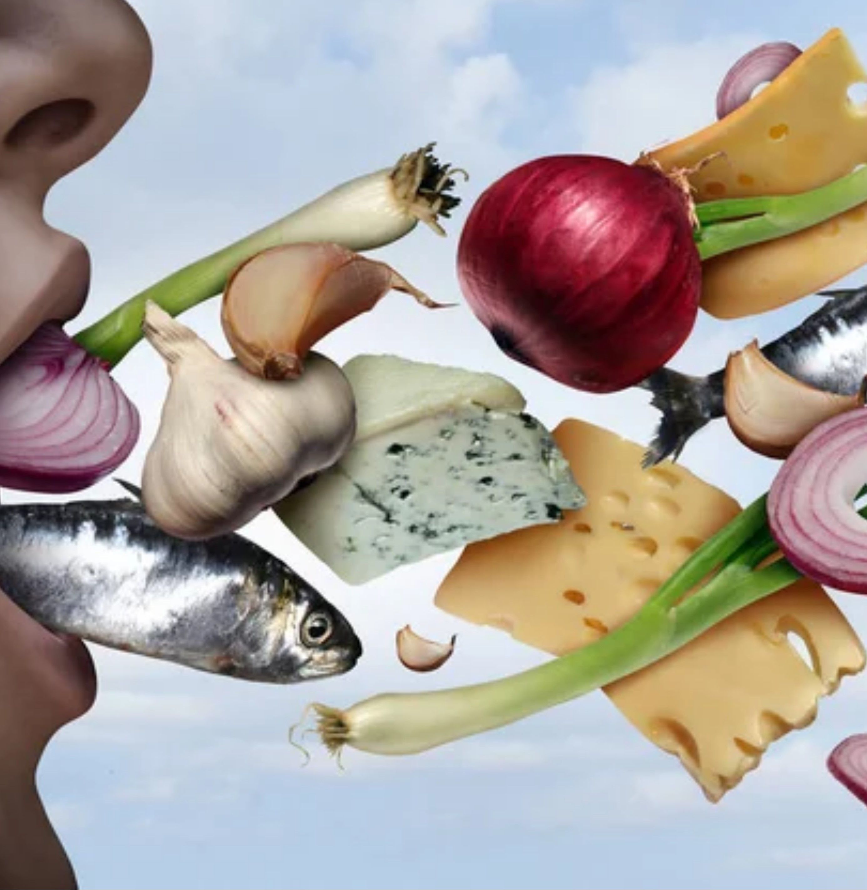 Des aliments (oignons, fromage et poisson) qui sortent de la bouche d'une personne