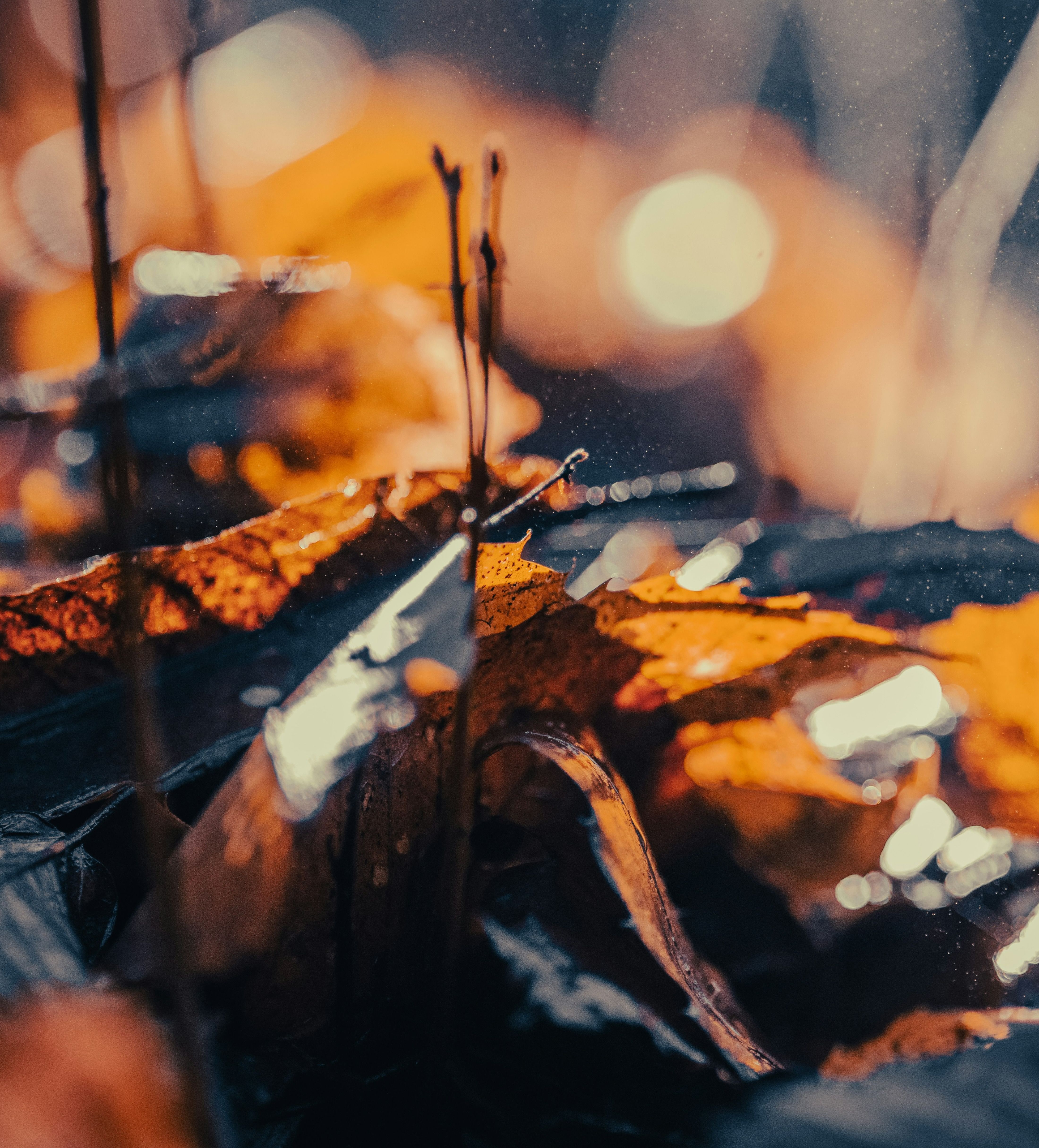 doncoombez-RjyEOWXOUl8-unsplash.jpg