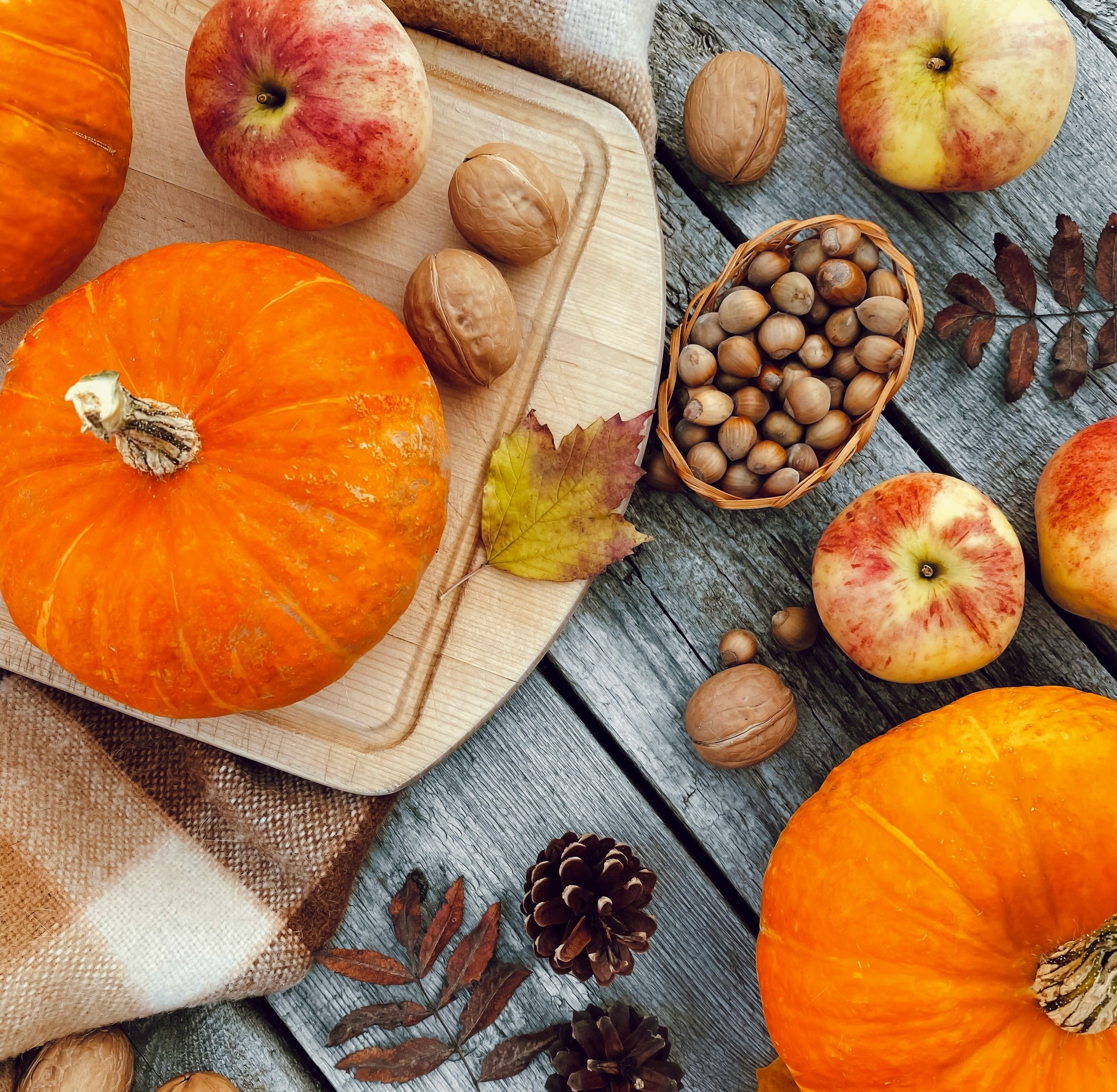 cuisine d'automne