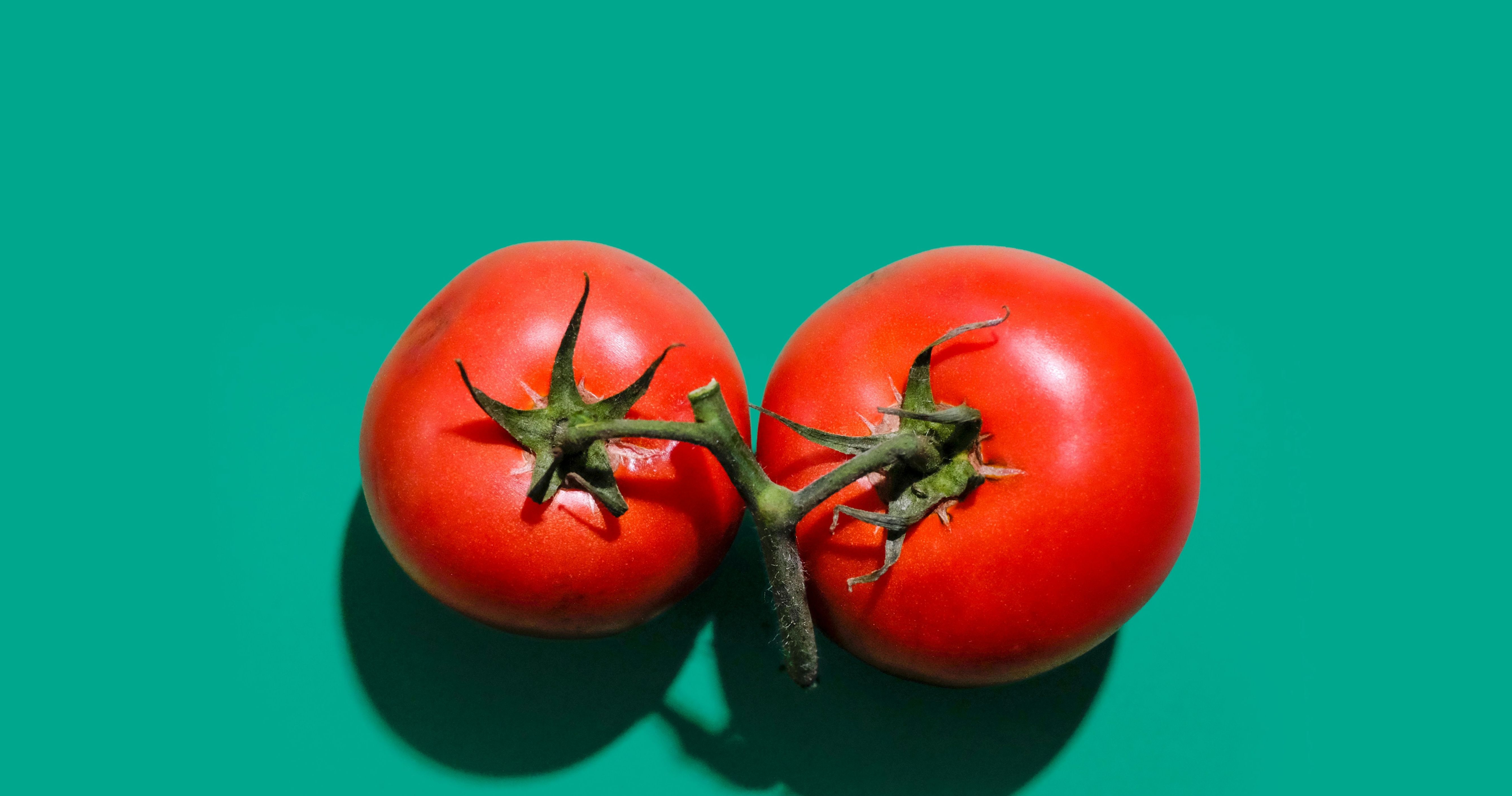 tomates