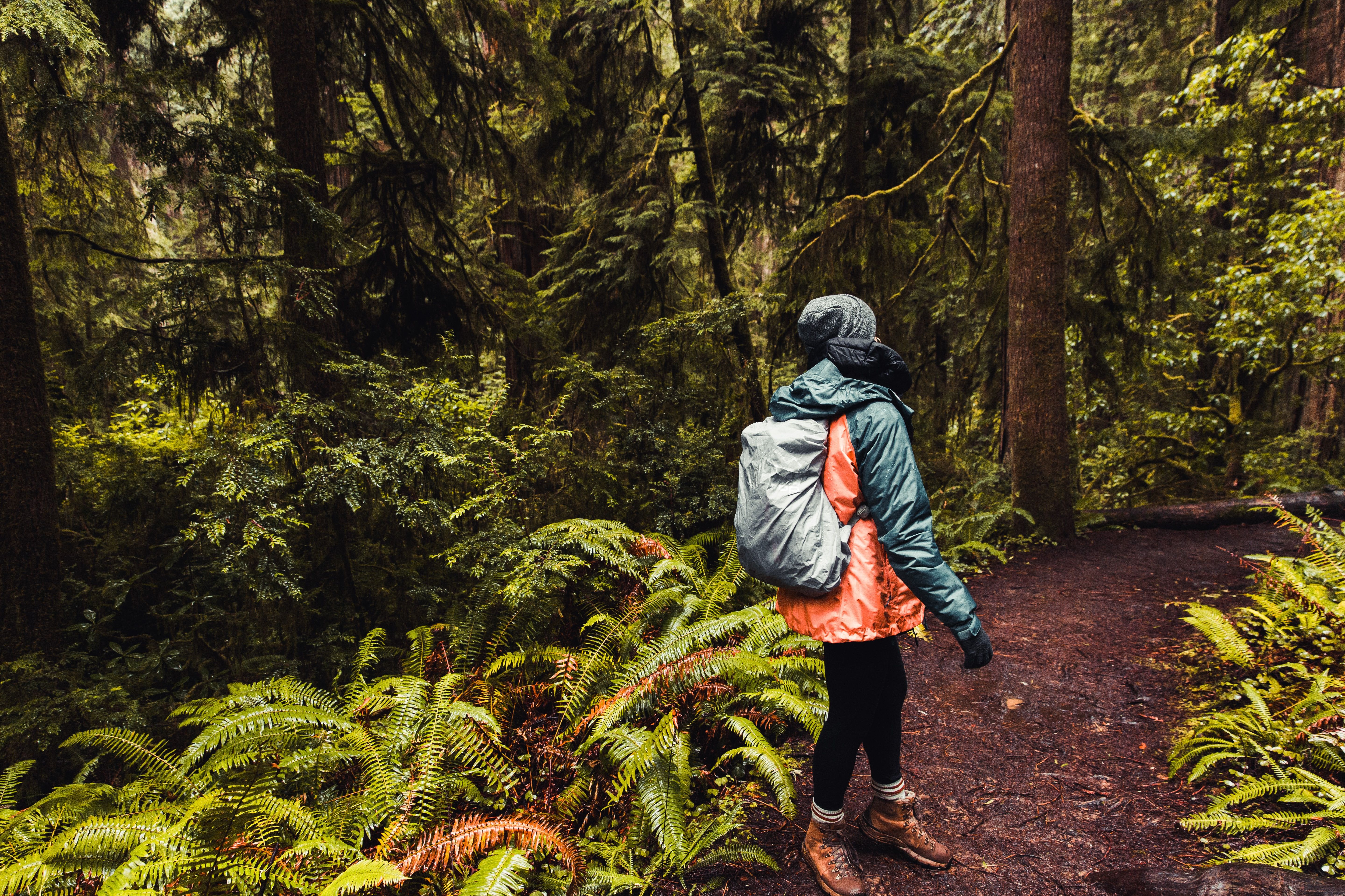 Un randonneur équipé d'un sac à dos et d'un Kway marche dans la forêt