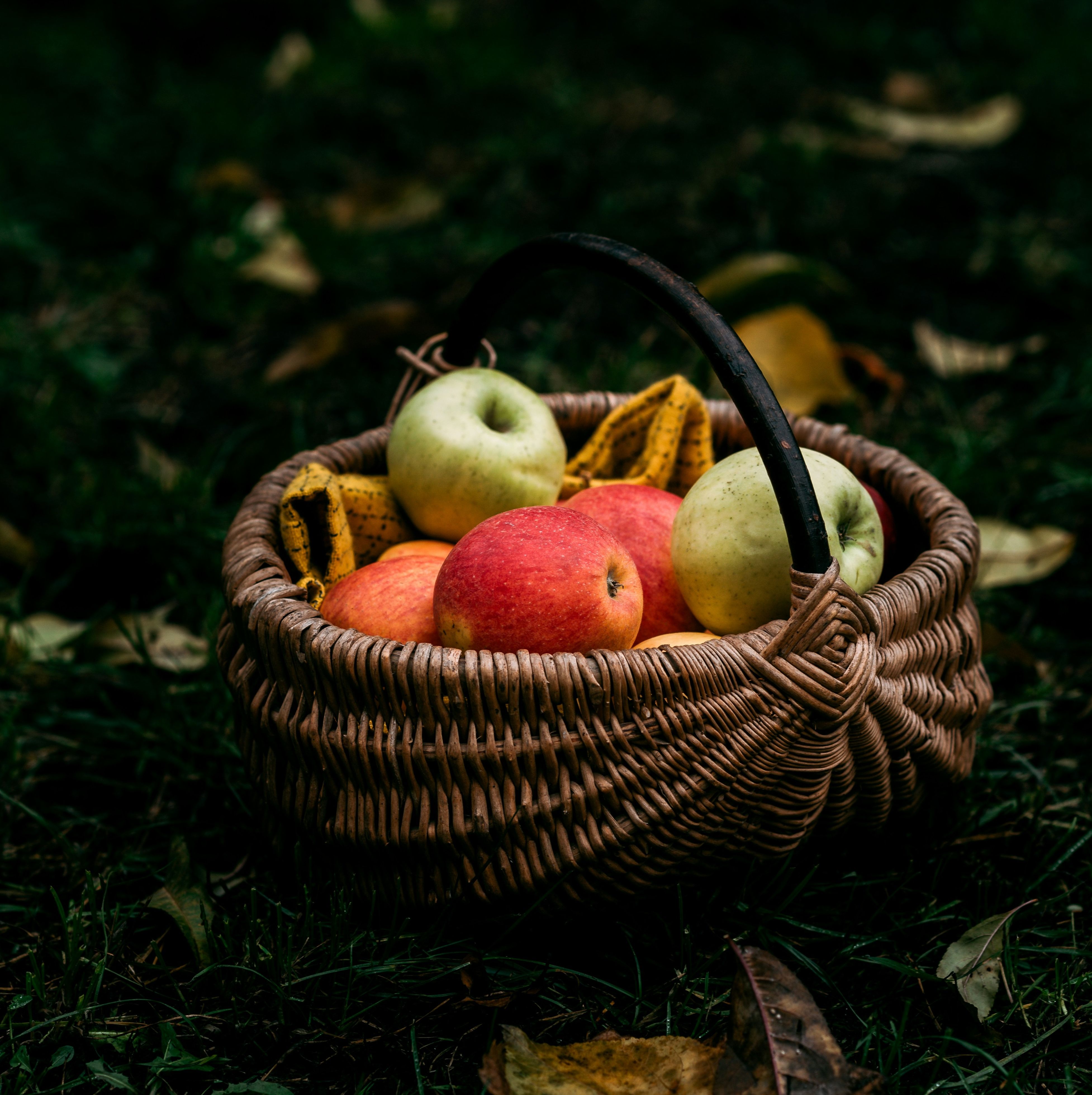 fruits et légumes d'automne