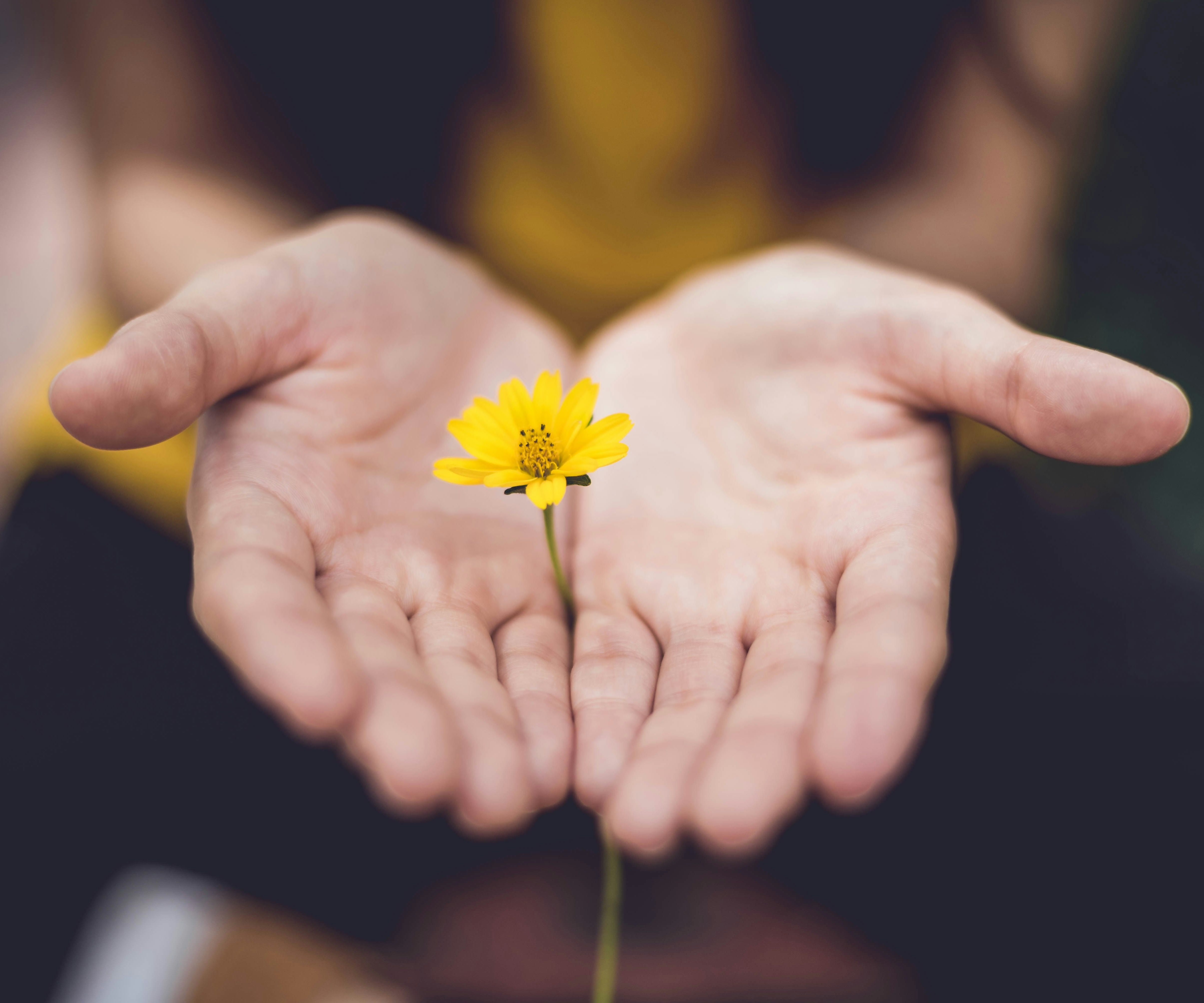 bonnes nouvelles pour l'écologie