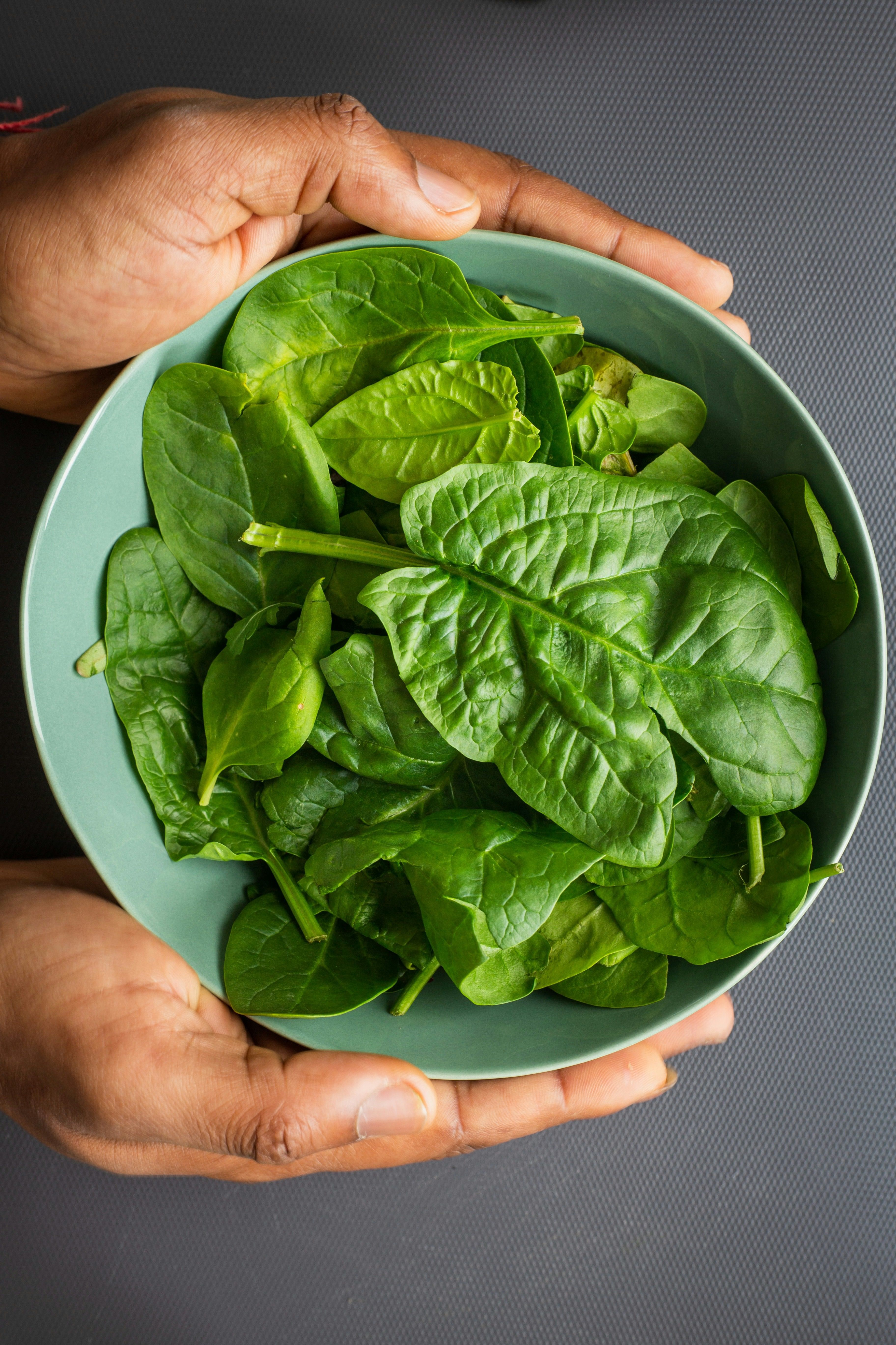 gratin aux épinards