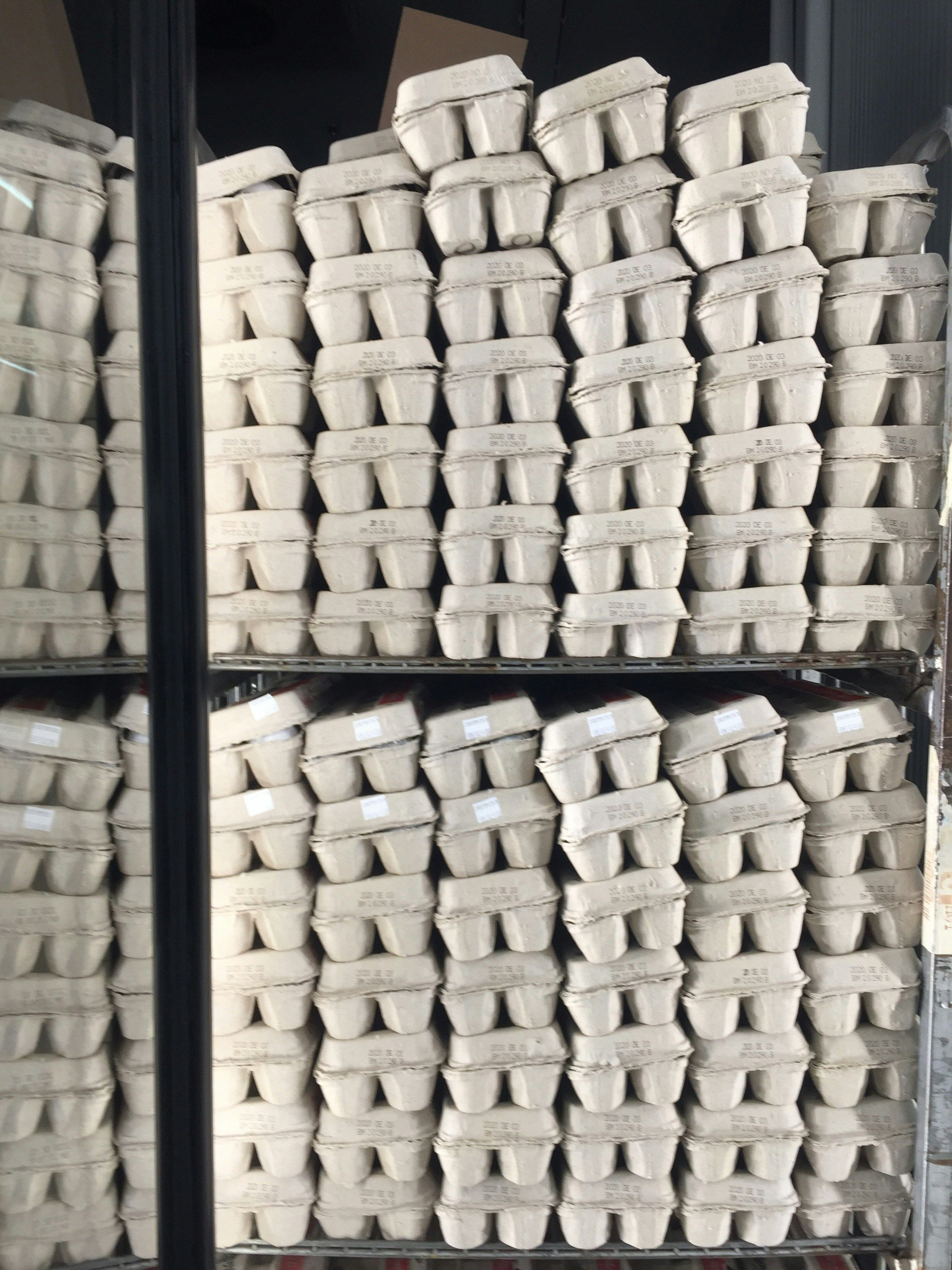 Boite d'oeufs : comment la recycler