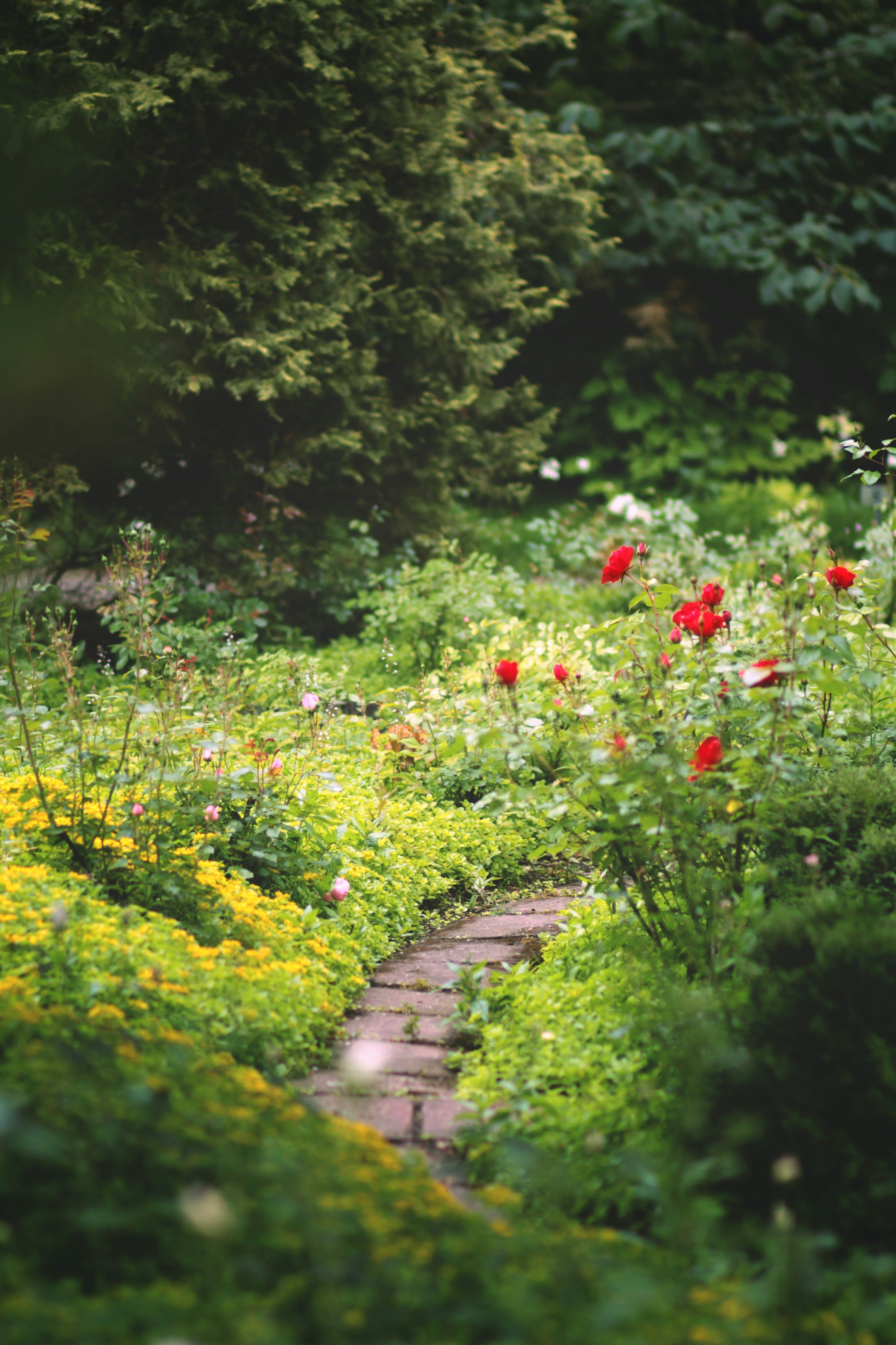 Jardin comment le protéger