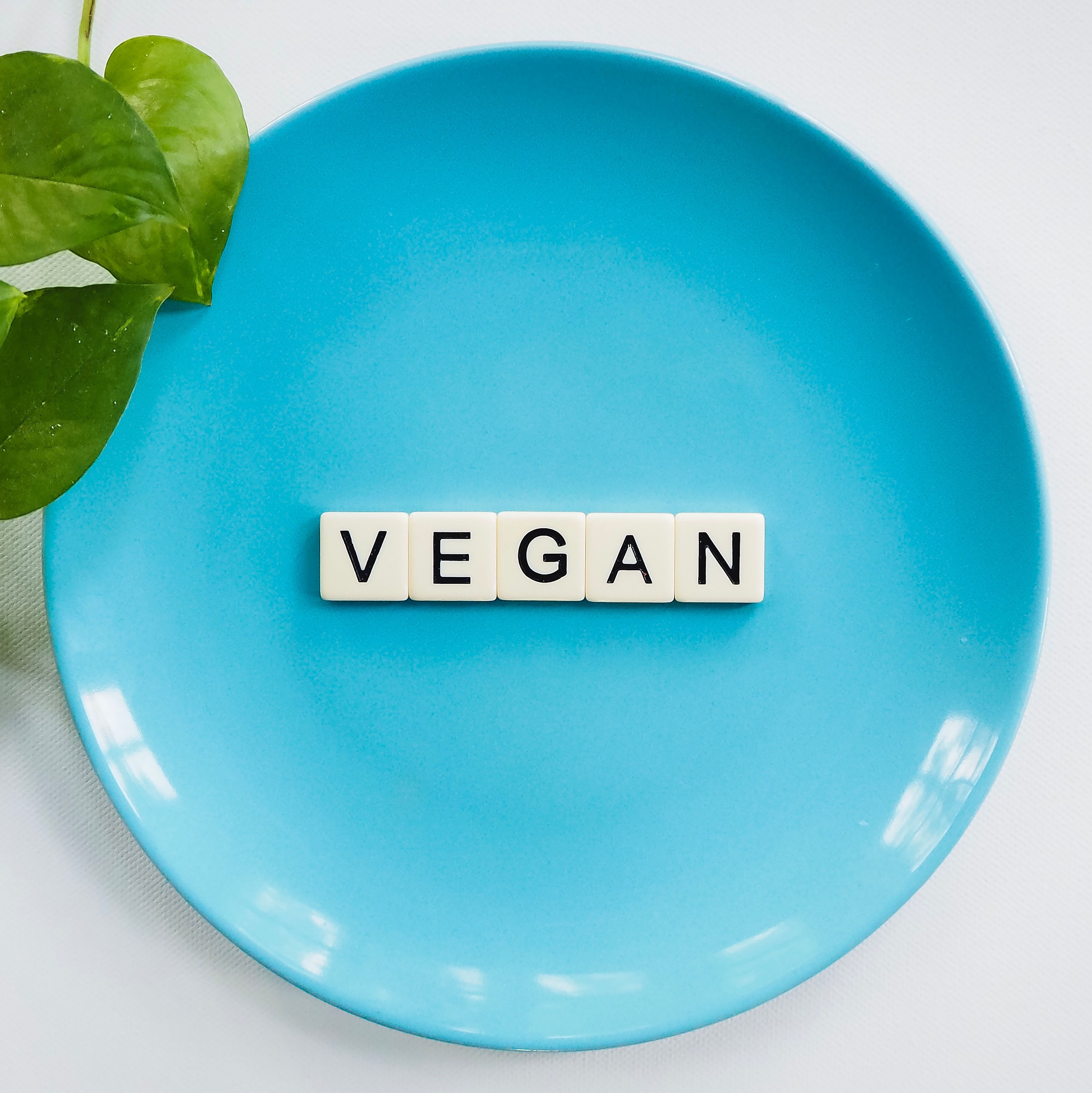 assiette vegan