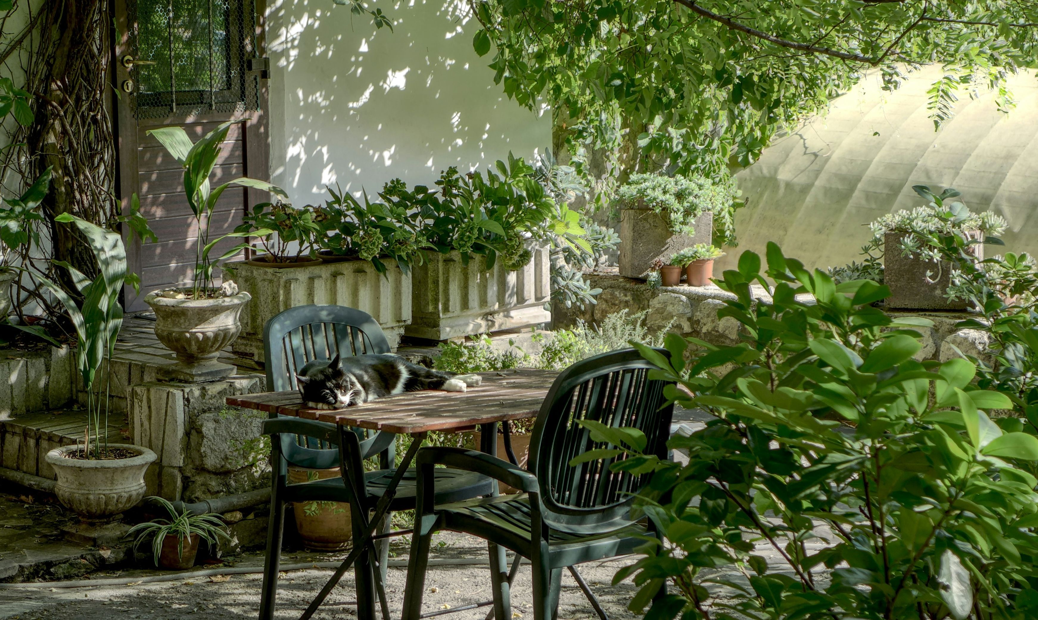 mobilier de jardin nettoyage