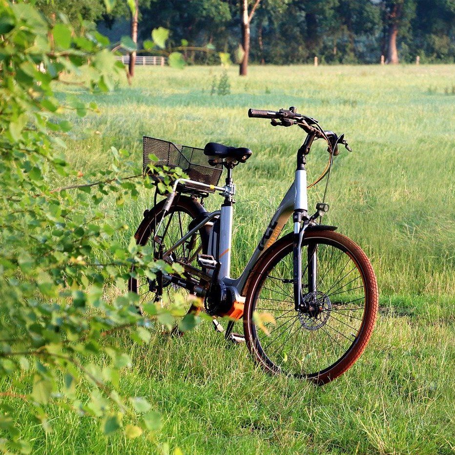 vélo dans un champ