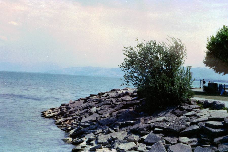 Kamera: Canon EOS 600,  Film: Harman Phoenix II 200