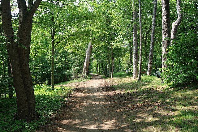 Découverte des plantes sauvages au bois de Boulogne (Paris)