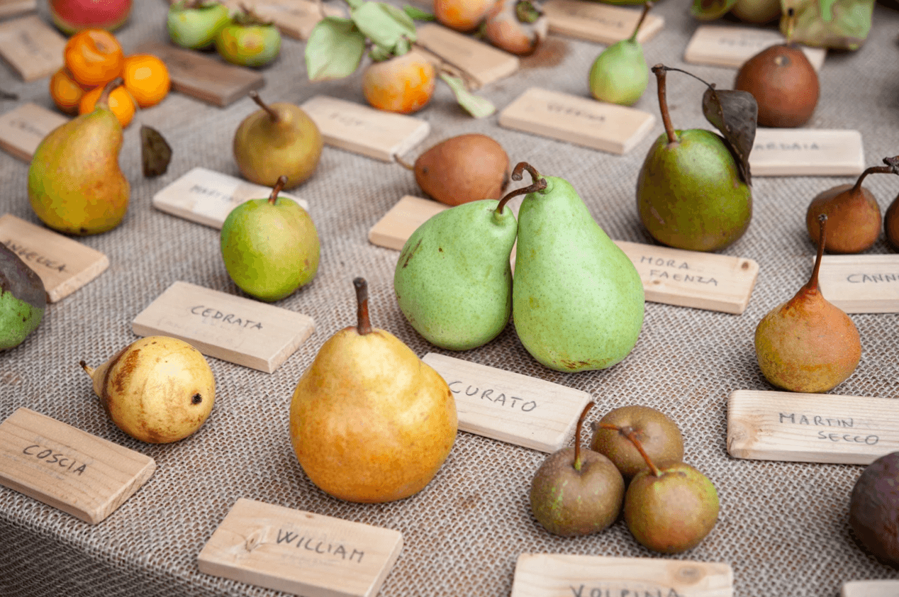 alimentation et biodiversité : l'impact caché de nos assiettes
