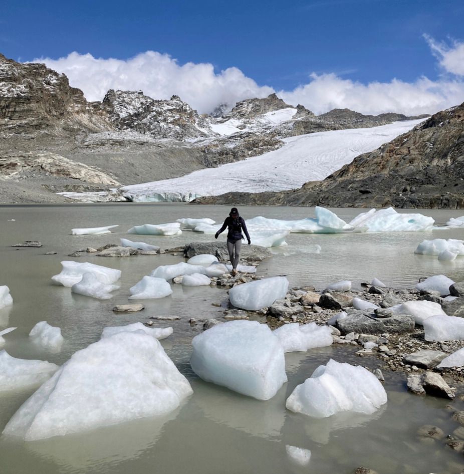biodiversité activité nature econature eco-nature glaciers réchauffement climatique zone post-glaciaire